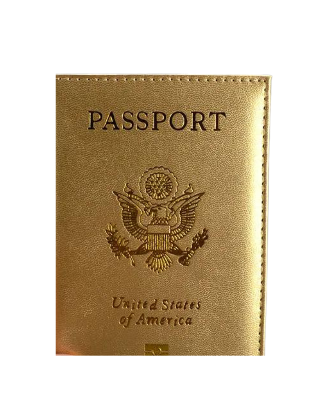 USA PASSPORT COVER